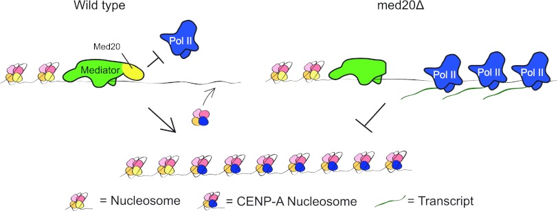 Fig 5