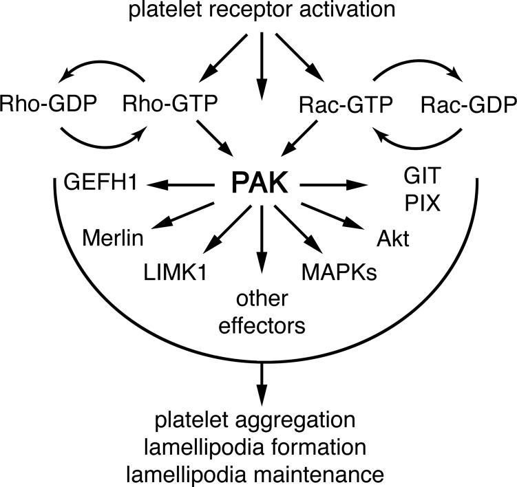 Fig. 7.