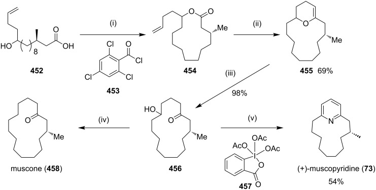 Scheme 85