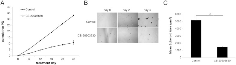 Figure 5