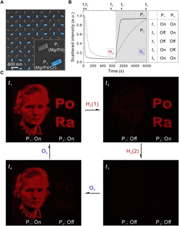 Fig. 3