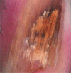 Figure 8