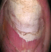 Figure 18