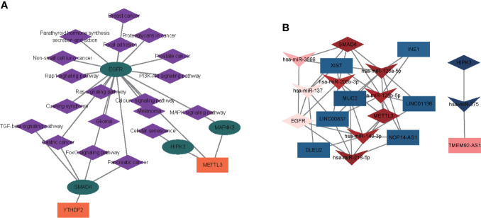 Figure 7