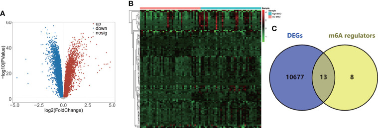 Figure 2