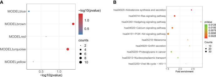 Figure 6