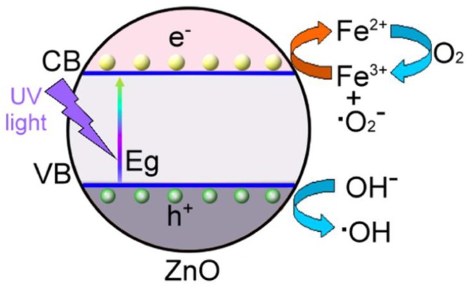 Scheme 6