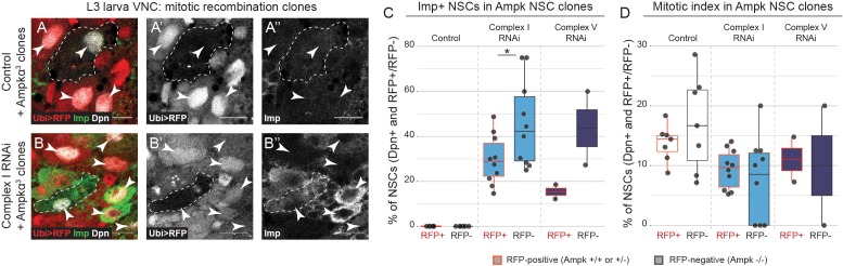 Figure 4—figure supplement 2.