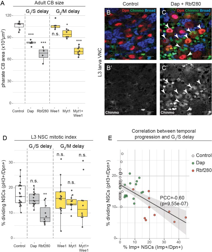 Figure 4—figure supplement 1.