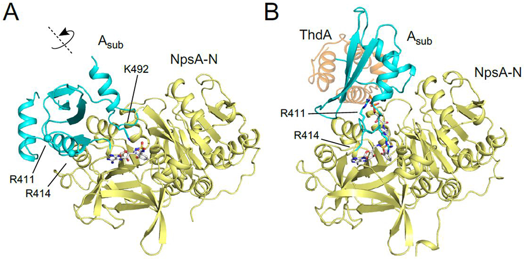 Figure 6.