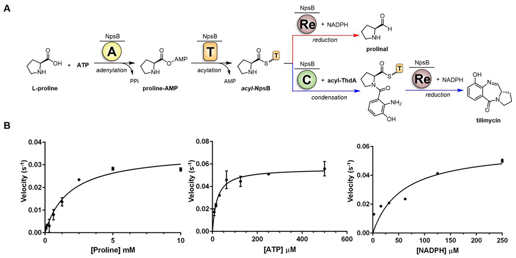 Figure 3.