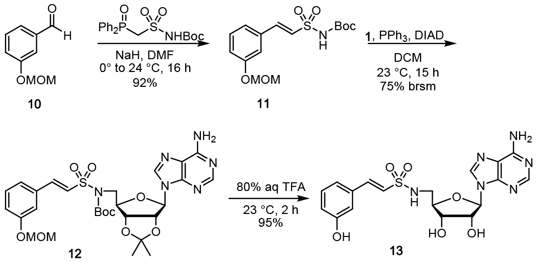 Scheme 2.