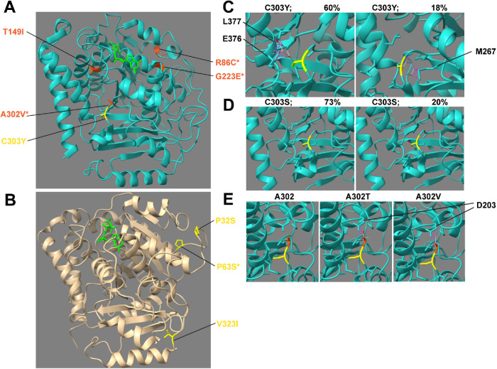 FIGURE 6: