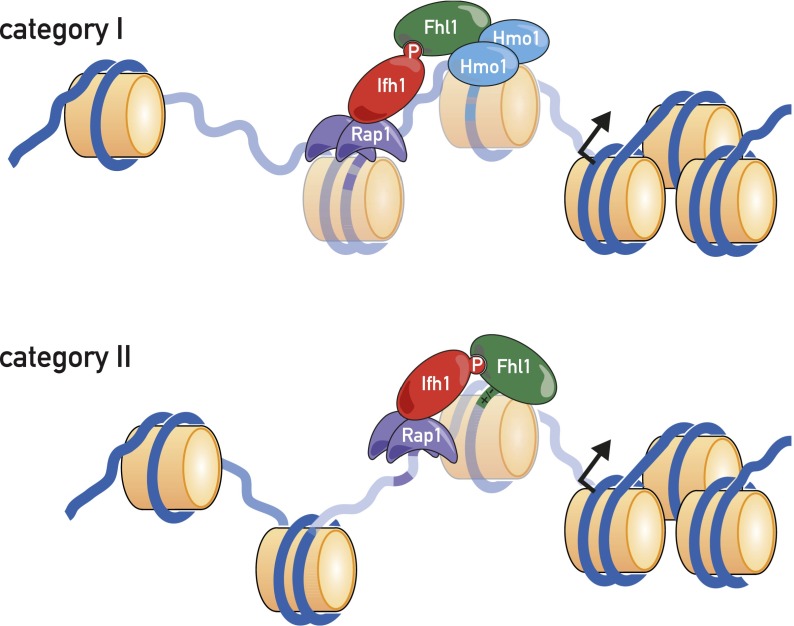 Figure 7.