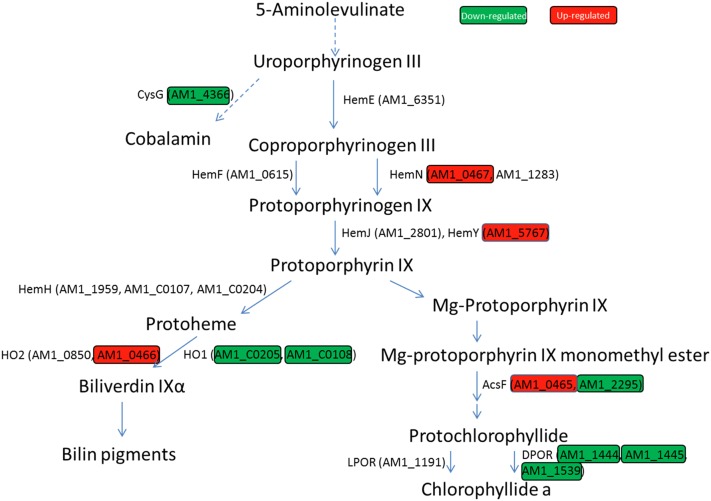 Figure 7