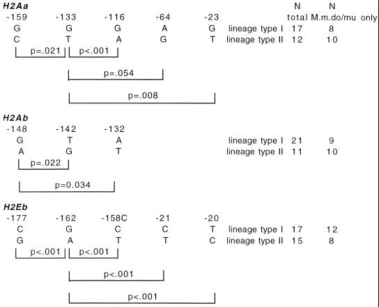 Fig 2.