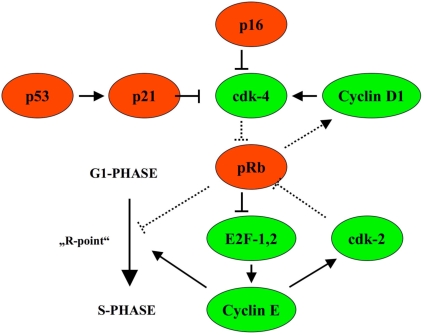 Fig. (1).