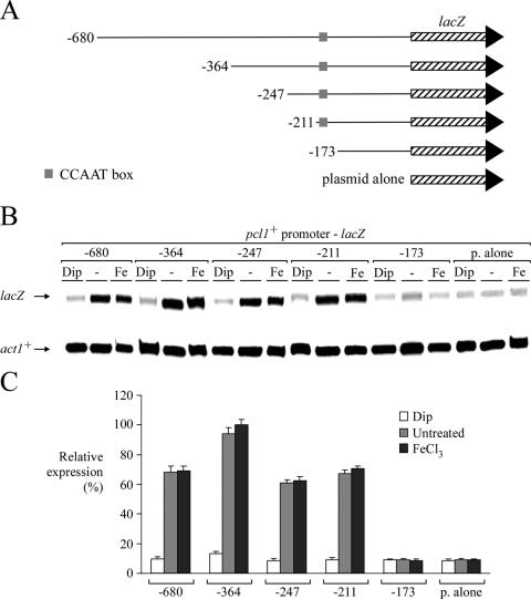 FIG. 2.