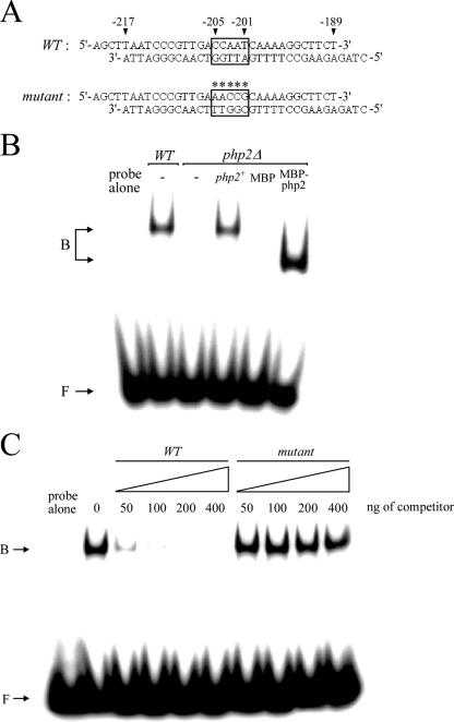 FIG. 6.