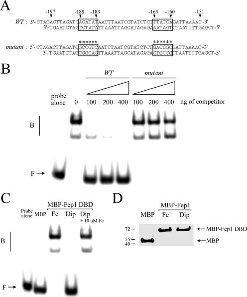 FIG. 9.