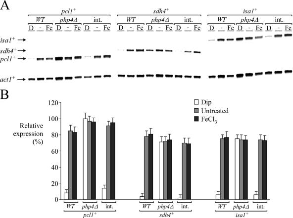 FIG. 7.