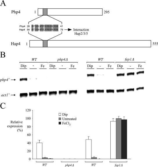 FIG. 8.