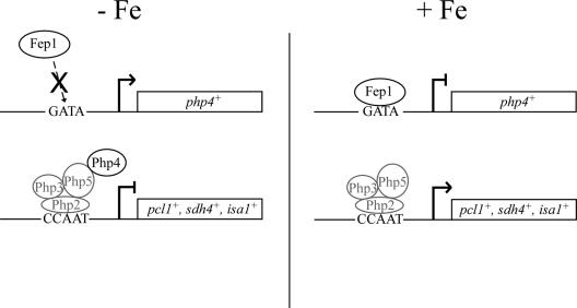 FIG. 10.