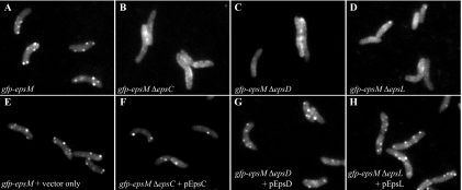 FIG. 8.