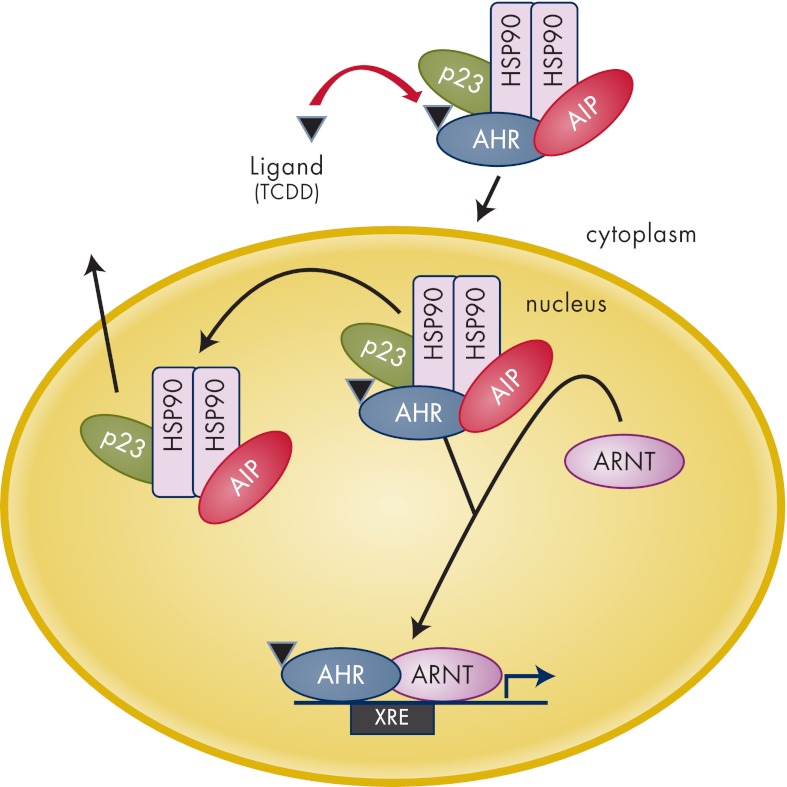 Figure 7.