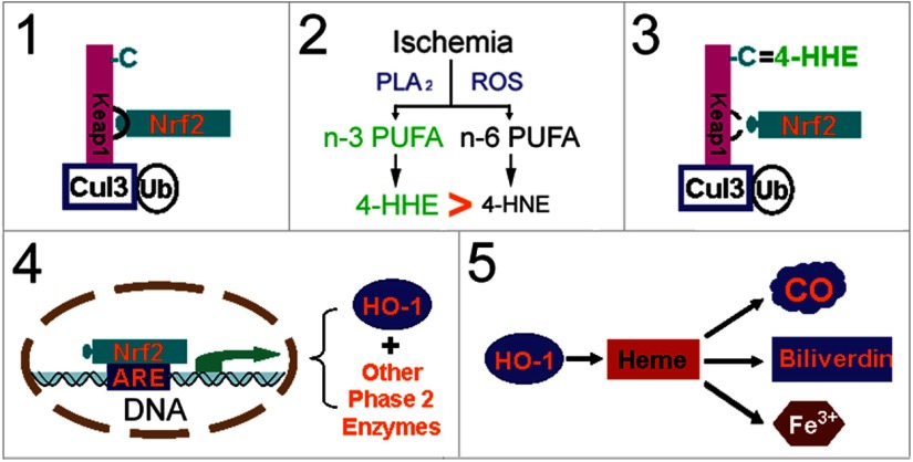 Figure 10.