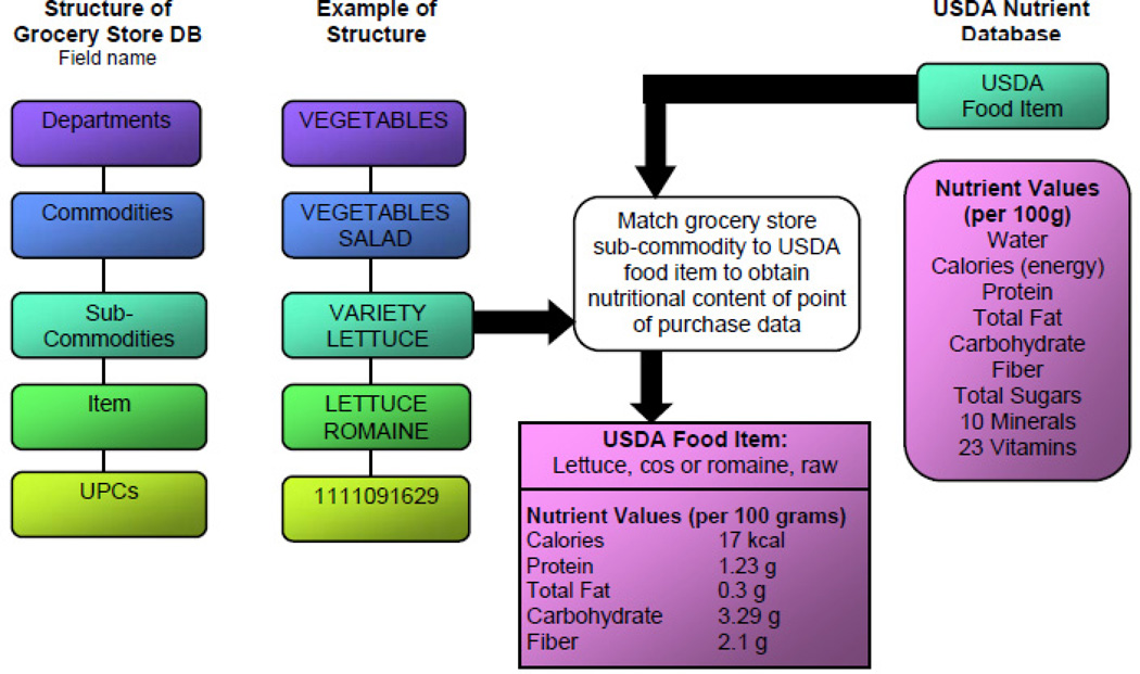 Fig. 1