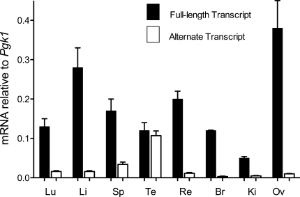 Fig. 6