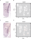Figure 3—figure supplement 3.