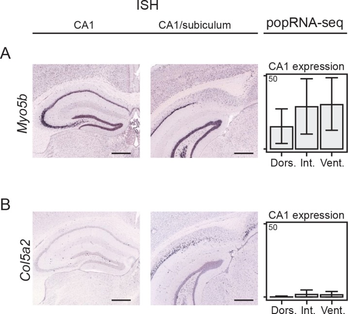 Figure 3—figure supplement 2.