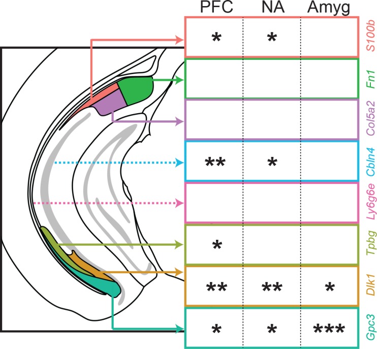 Figure 9—figure supplement 3.