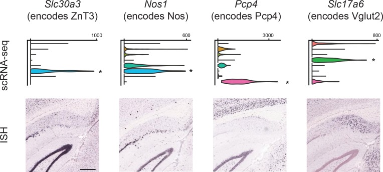 Figure 3—figure supplement 4.