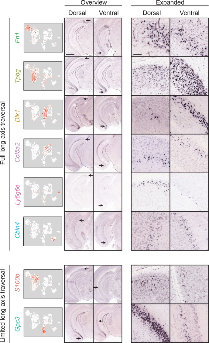 Figure 6.