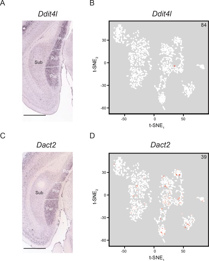 Figure 3—figure supplement 3.