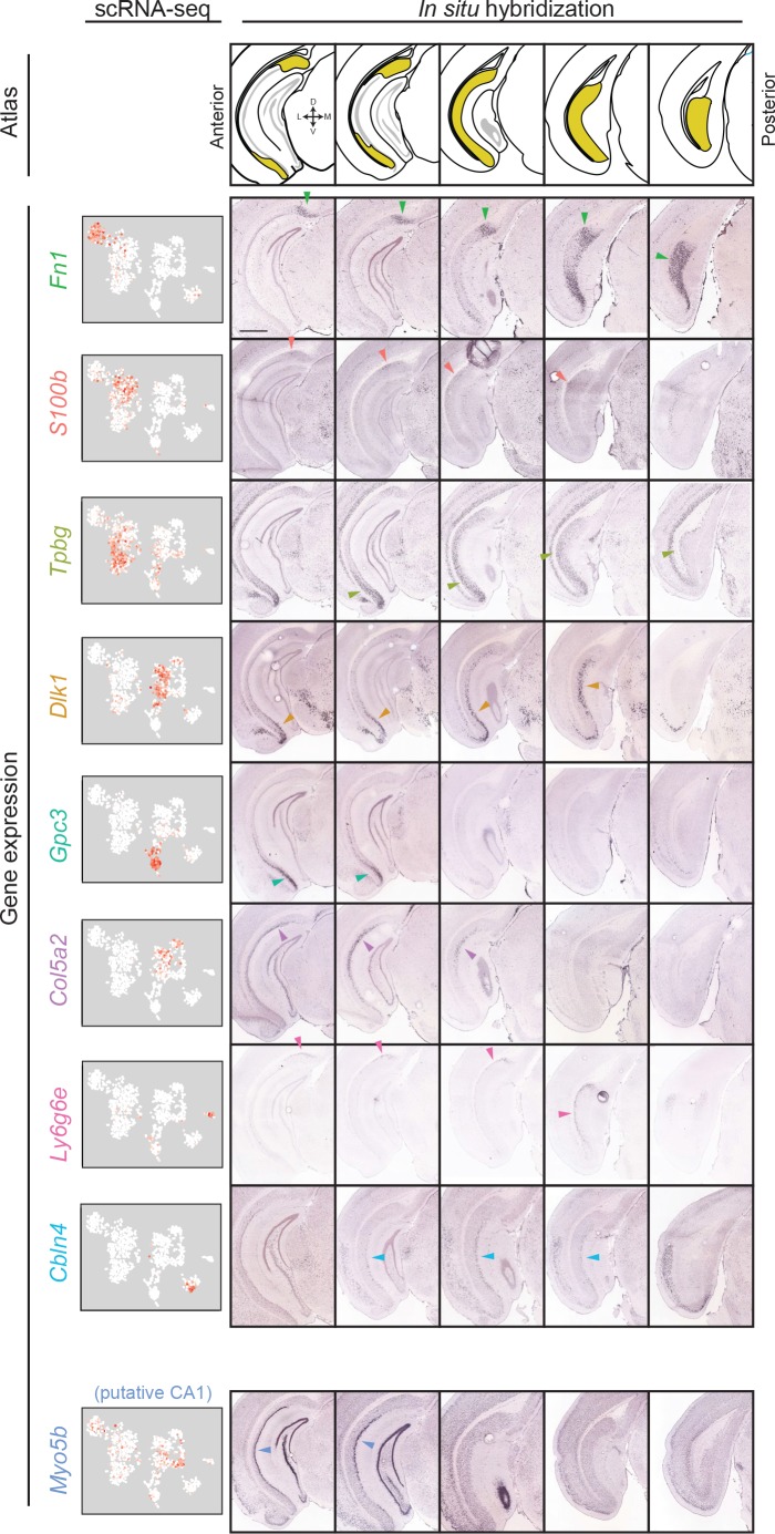 Figure 3.