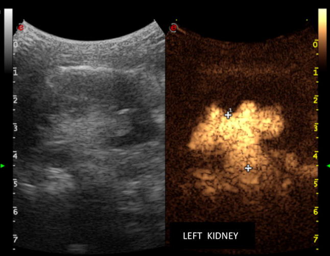 Fig. 9