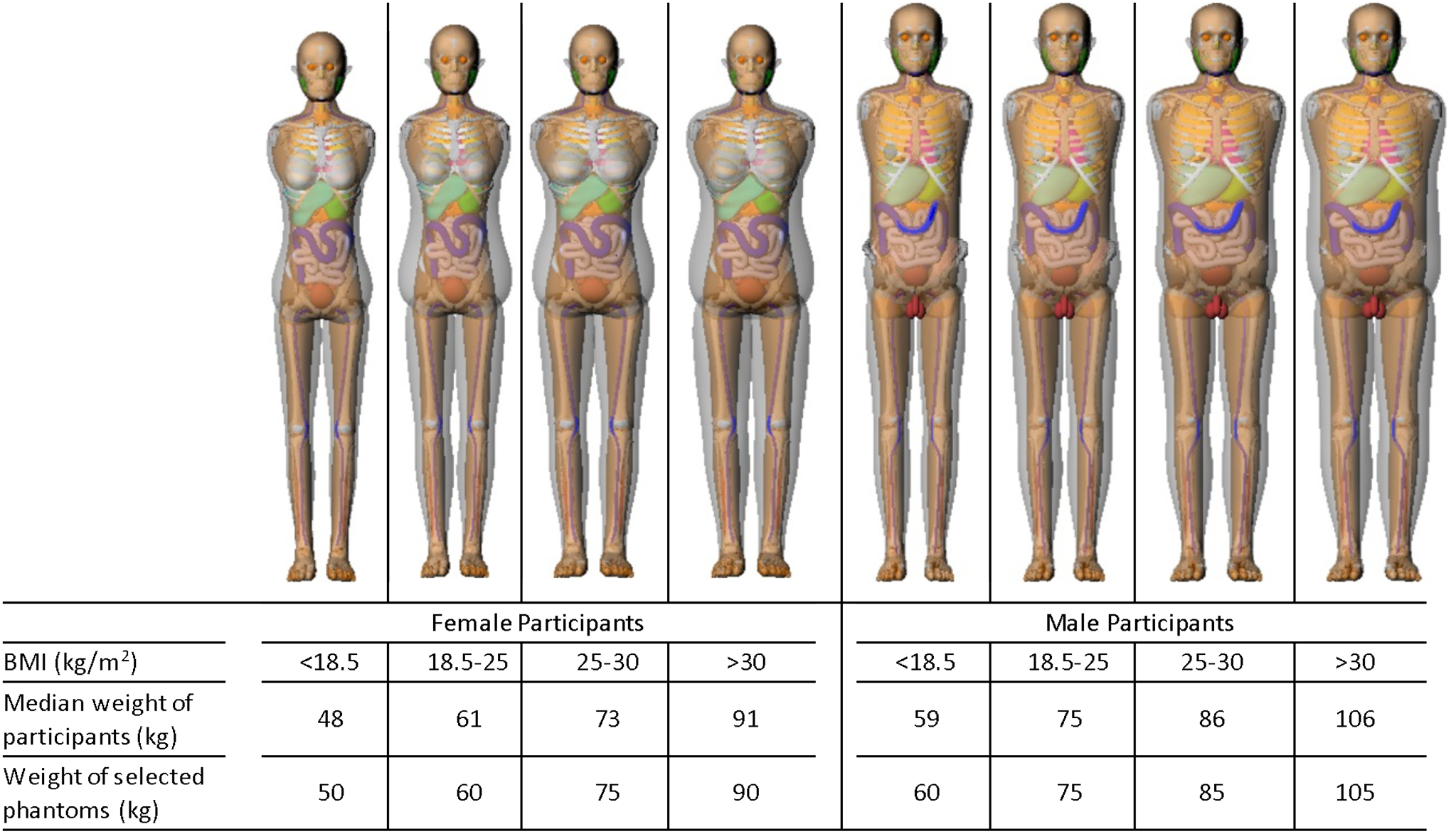 Figure 2.