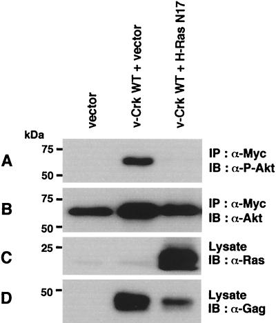 FIG. 13.