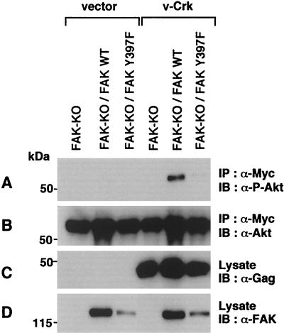 FIG. 5.