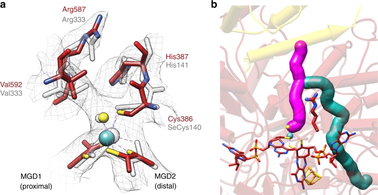 Fig. 3