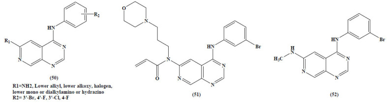 Fig. (20)