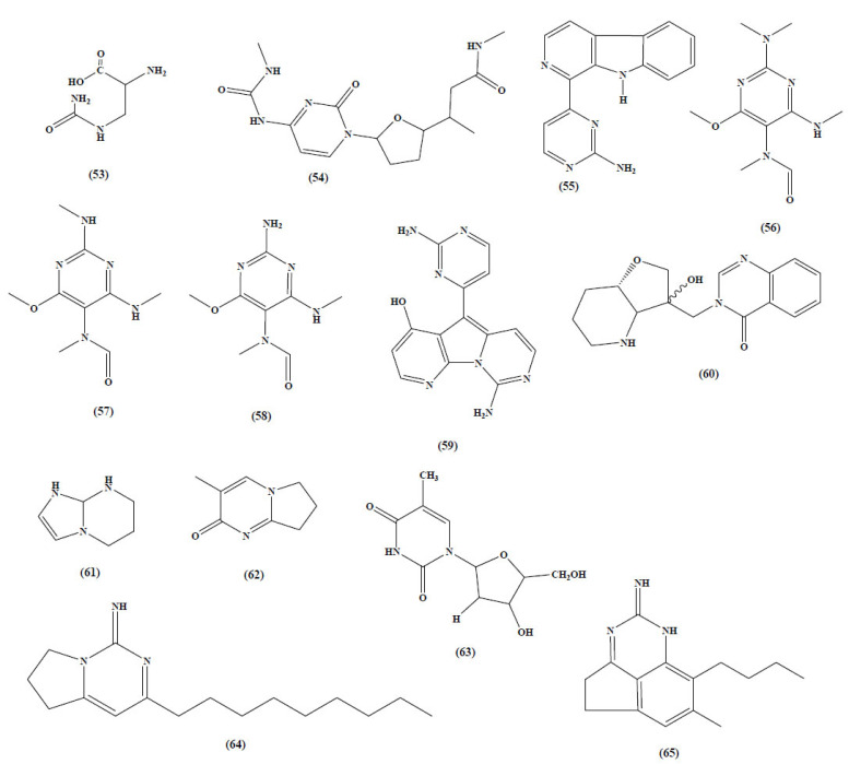 Fig. (21)