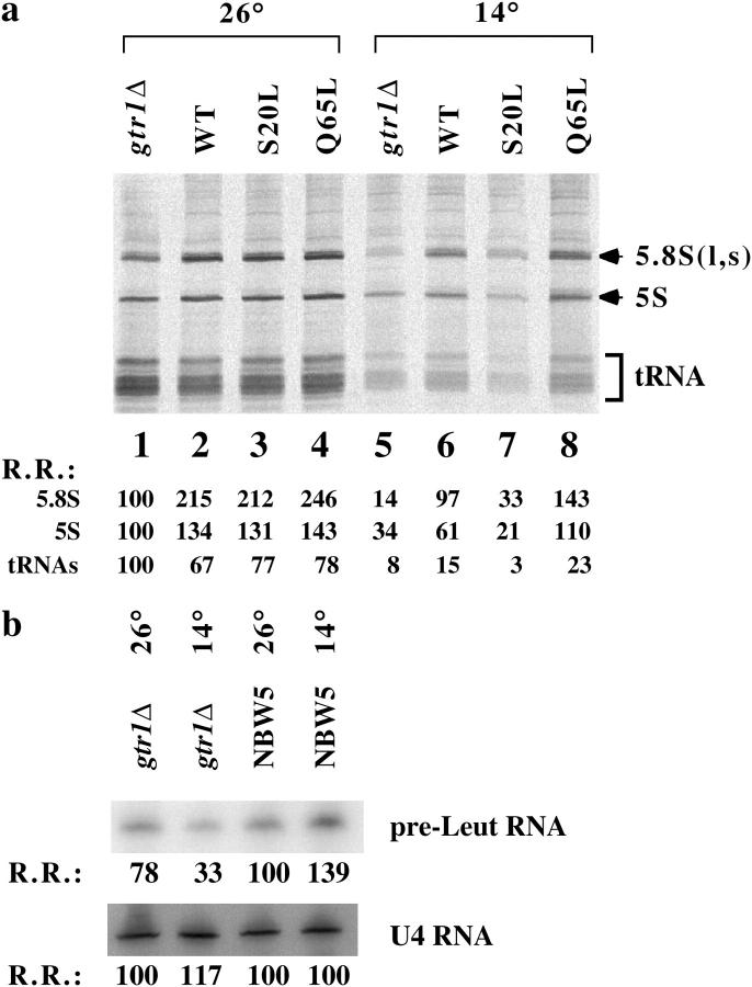 Figure 4.—