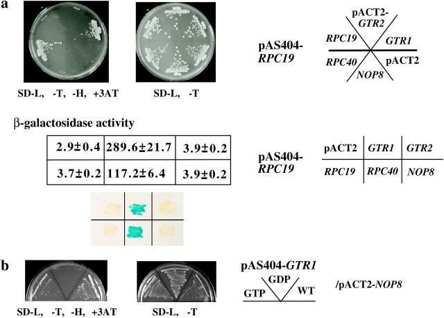 Figure 2.—