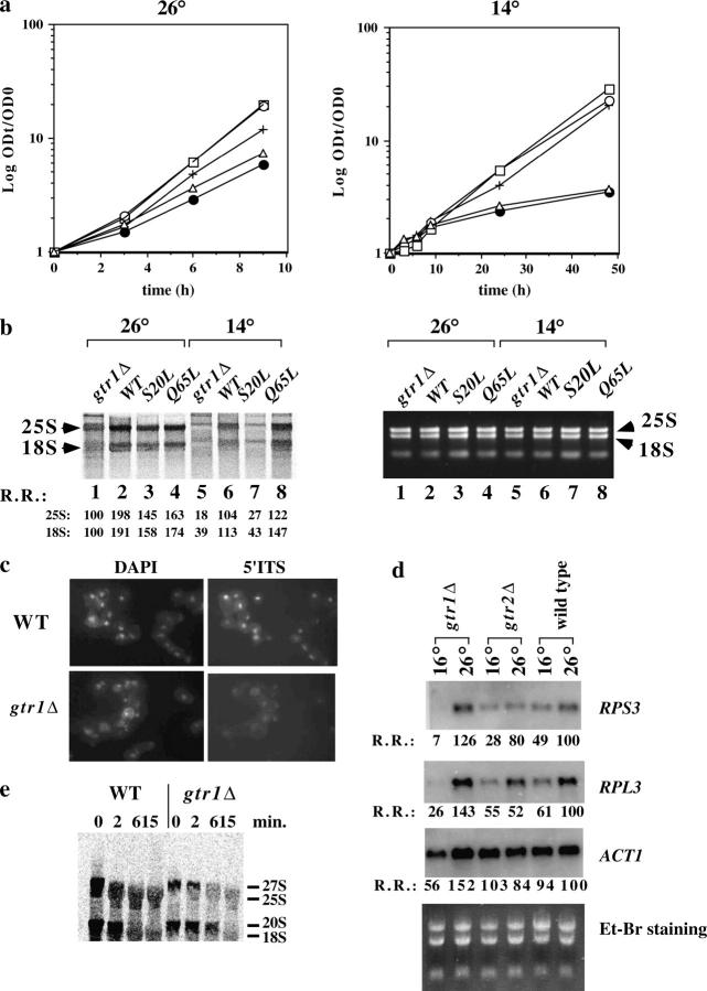 Figure 3.—