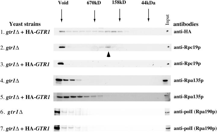 Figure 5.—